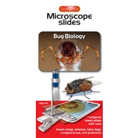 MICROSCOPE SLIDES - BUG BIOLOGY
