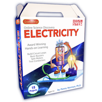 ONLINE DISCOVERY ELECTRICITY