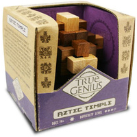 TRUE GENIUS: AZTEC TEMPLE PUZZLE