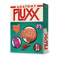 ANATOMY FLUXX (disp 6)