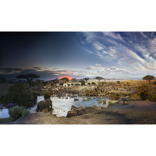 STEPHEN WILKES - SERENGETI, TANZANIA (1000PC)