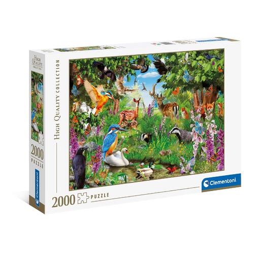 FANTASTIC FOREST 2000pc (HQC)