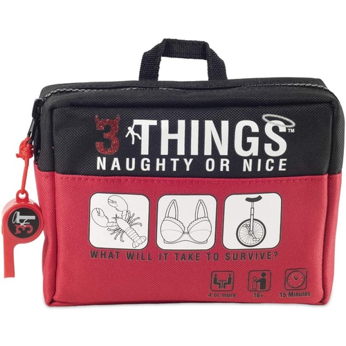 3 THINGS NAUGHTY OR NICE (6)