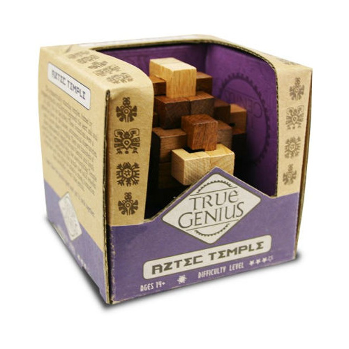 TRUE GENIUS: AZTEC TEMPLE PUZZLE