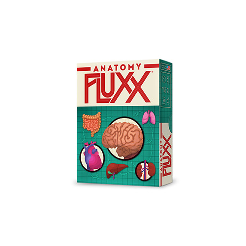 ANATOMY FLUXX (disp 6)